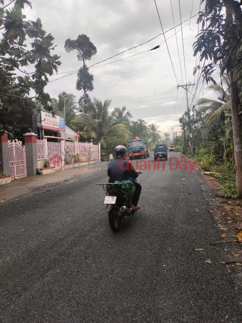 BEAUTIFUL LAND - GOOD PRICE - Quick Sale Land Lot In Thanh Tan Commune, Mo Cay Bac District, Ben Tre _0