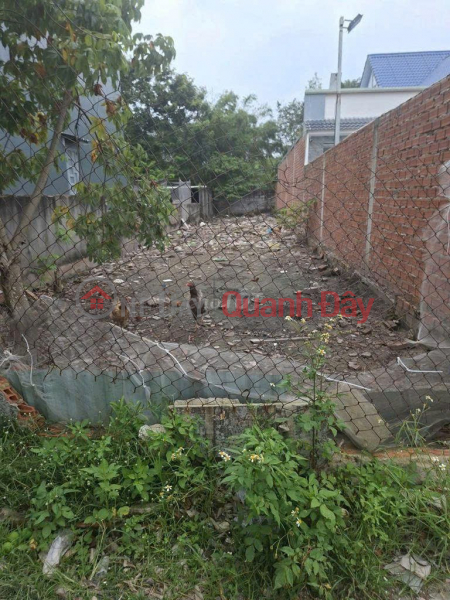 LAND FOR SALE BY OWNER - GOOD PRICE - New Hamlet 1, My Hanh Nam Commune, Duc Hoa District, Long An Sales Listings