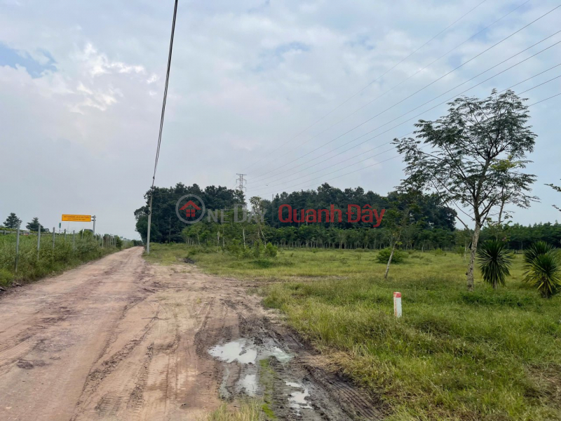 Shocking discount of 46 billion! 4.7ha of SHR land near Long Thanh airport - Long An Dong Nai SSS, Vietnam | Sales, đ 118 Billion