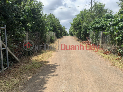 BEAUTIFUL LAND - GOOD PRICE - Land Lot For Sale In Hamlet 6, Loc Phu, Bao Lam District, Lam Dong _0