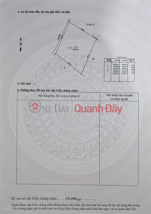 OWNER SELLING 6,246M2 OF LAND WITH READY TITLE DEED NEAR PROVINCIAL ROAD 786, BEN CAU. _0