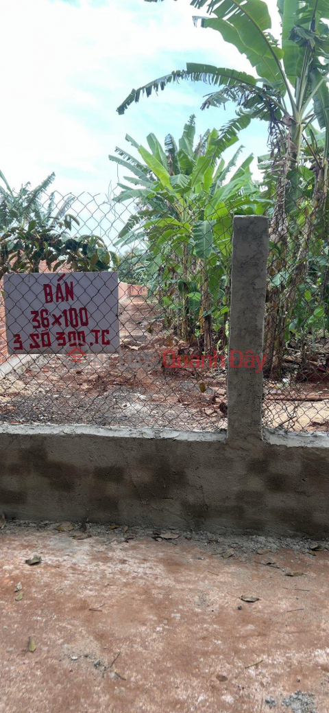 HOT HOT TO OWN A BEAUTIFUL LOT OF LAND - GOOD PRICE IN Ba Ria City, Ba Ria Vung Tau Province _0