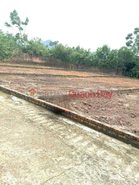 Beautiful land for sale in Phu Minh Commune, Soc Son District, Hanoi, area 129.6m2, price 26 million VND\/m2. _0