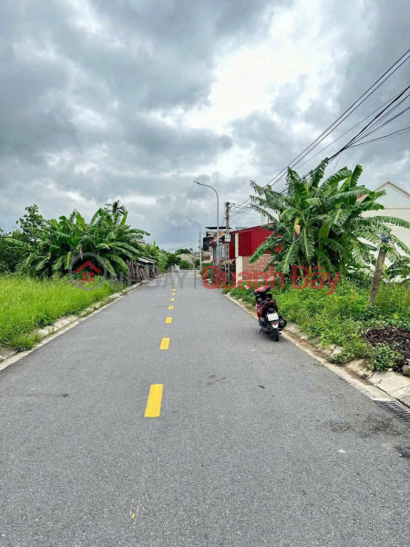  | Làm ơn chọn, Nhà ở Niêm yết bán đ 1,63 tỷ