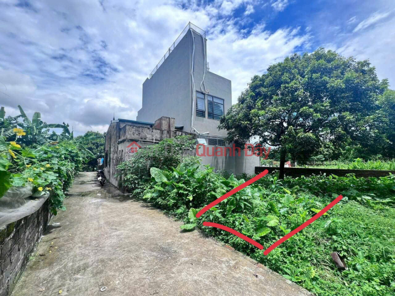 Property Search Vietnam | OneDay | Residential Sales Listings, The owner needs to sell a 43m plot of land in Phuong Dong, Phung Chau, Chuong My, Hanoi, 3m road.