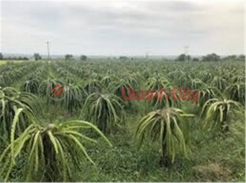 FOR QUICK SELL Land Beautiful lot in Ham Thuan Nam district, Binh Thuan province _0