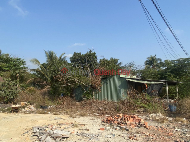 Property Search Vietnam | OneDay | Residential | Sales Listings Land by owner - Good price Need to sell quickly full residential land plot in Tan Binh commune, Tan Bien district, Tay Ninh province