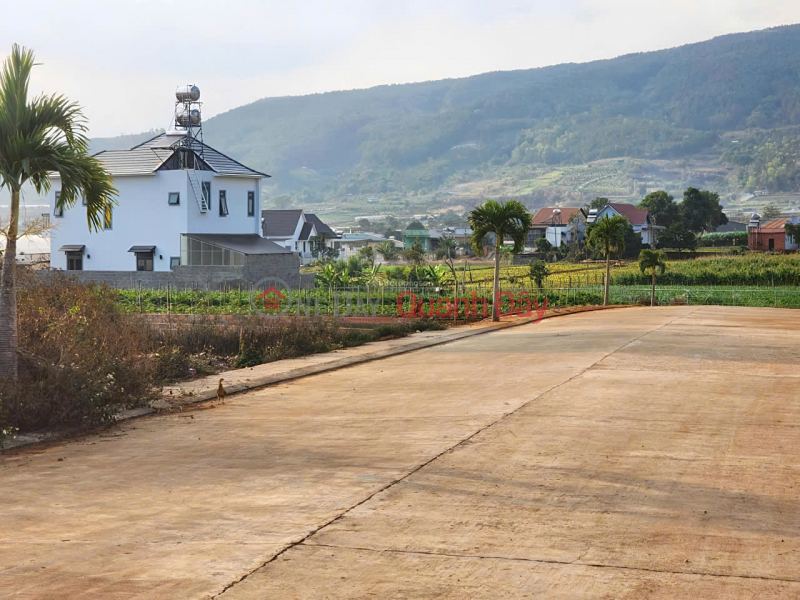 Property Search Vietnam | OneDay | Residential | Sales Listings Selling 113.5m2 of land with separate title deed - Hiep Thanh Commune - Duc Trong District - Lam Dong Province for 1.39 billion VND.