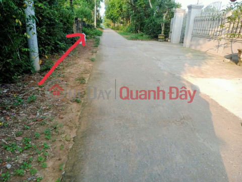 PRIME LAND – GOOD PRICE – OWNER NEEDS TO SELL A PLOT OF LAND IN XUAN HOI VILLAGE, XUAN HUNG COMMUNE, THO XUAN DISTRICT, THANH HOA PROVINCE _0