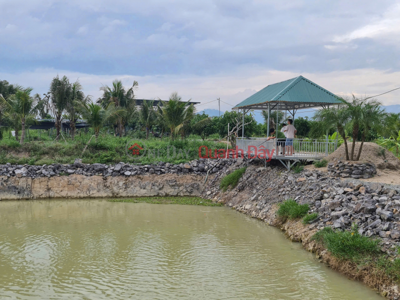Bán farm Diên Thọ - Khánh Hoà 1.7ha giá 480k/m2. Cây ăn trái đang khai thác Niêm yết bán