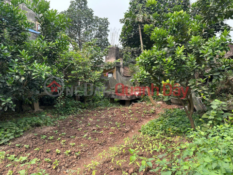 VỊ TRÍ ĐẸP - ĐẦU TƯ SINH LỜI - Chính Chủ Bán Lô Đất Tiềm Năng Phố Hoàng Văn Thụ, Xã Vân Đình, Hà Nội _0