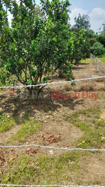 đ 299 triệu | ĐẤT ĐẸP - GIÁ TỐT - Bán GẤP Lô Đất Tiềm Năng Tại xã Mỹ Đức, tỉnh Lâm Đồng
