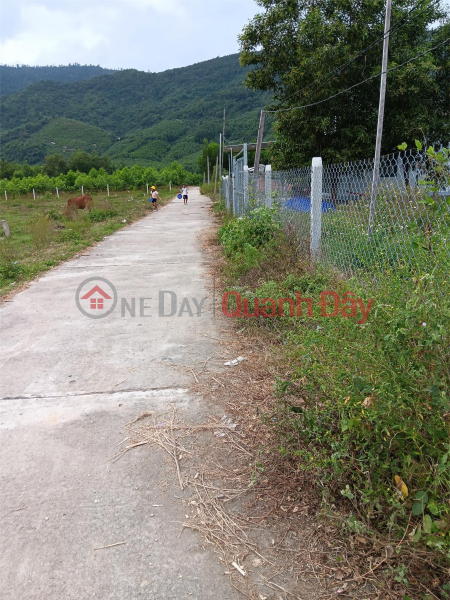 Property Search Vietnam | OneDay | Residential, Sales Listings, PRIMARY LAND - Land Lot for Sale in Khanh Hiep Commune - Khanh Vinh, Khanh Hoa
