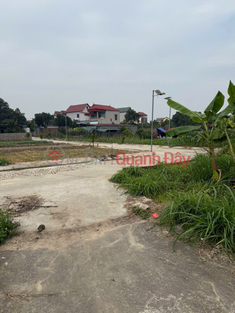 BÁN ĐẤT MINH PHÚ- SÓC SƠN NGÕ Ô TÔ QUA 81 M2 MẶT TIỀN 5M X 1.77 tỷ. _0