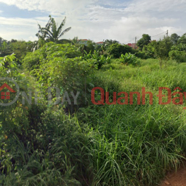 Land frontage SHR HXH 1194m2 – Dong Thanh 2-5 Hoc Mon _0