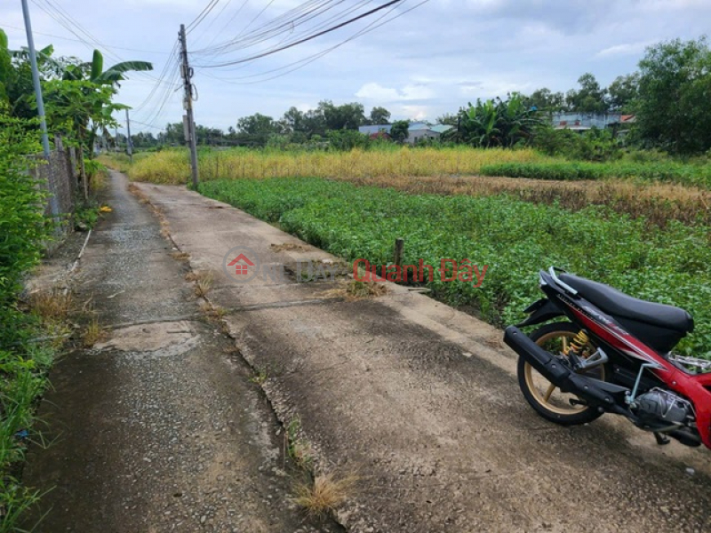 Property Search Vietnam | OneDay | Nhà ở Niêm yết bán | ĐẤT SIÊU ĐẸP - GIÁ TỐT - Bán GẤP Lô Đất Tiềm Năng Tại Long Khánh Xã Phước Hậu, Cần Giuộc Long An