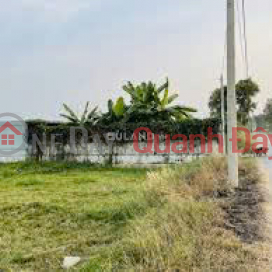 Land for sale at road number 20, Lac Tanh town, Tanh Linh district, Binh Thuan province. _0