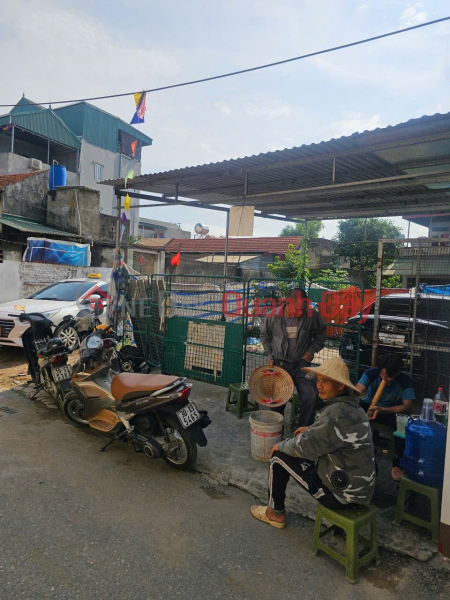 BEAUTIFUL LAND - GOOD PRICE - URGENT SALE Plot of Land in Nhue Village, Duc Thuong Commune, Hoai Duc District, Hanoi, Vietnam Sales đ 6.2 Billion