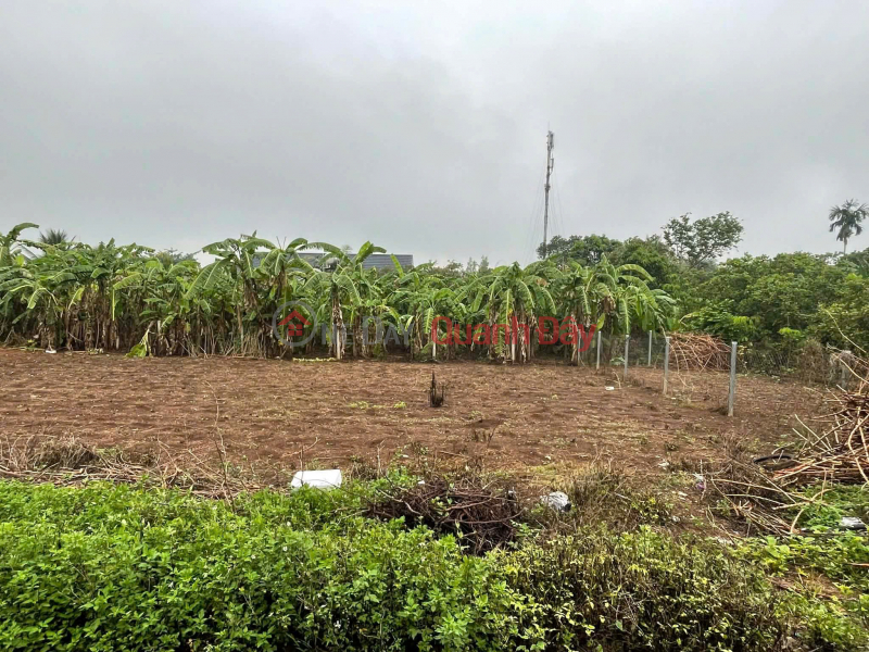 đ 2.55 Billion | PRIME LAND – GOOD PRICE – OWNER SELLING LAND in Song Nhan Commune – Cam My District – Dong Nai Province