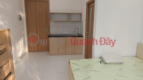 Owner Can Rent a newly built studio apartment in a beautiful location in District 9, HCMC _0