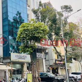 BUILDING FOR SALE, CORNER LOT ON PHAN DINH PHUNG - HOAN KIEM, 110 SQM, FRONTAGE 10M, PRICE 139 BILLION. _0