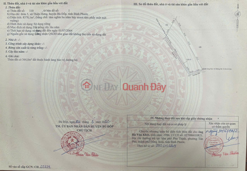BÁN RẪY CAO SU CẠO NĂM THỨ 2, 8,3 SÀO 2 TỶ Niêm yết bán