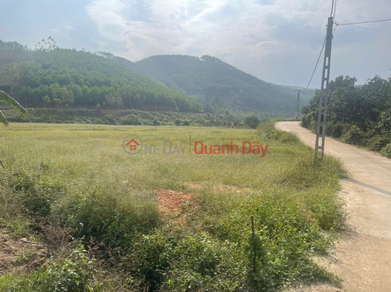 HIGH PROFITABLE INVESTMENT OPPORTUNITY LAND IN CHU TOWN - BAC GIANG - OWN A FARM WITH STABLE CASH FLOW Sales Listings