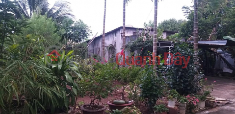 OWNERS QUICK SELL Real Estate Beautiful Location In Hoa Phu Commune - Buon Ma Thuot - Dak Lak _0