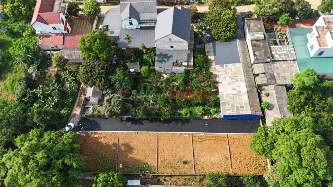 Property Search Vietnam | OneDay | Residential | Sales Listings | Owner Sells 5 F0 Land Plots on the Old Lien Xa Hoa Thach Street, Now Phu Cat - Hanoi City