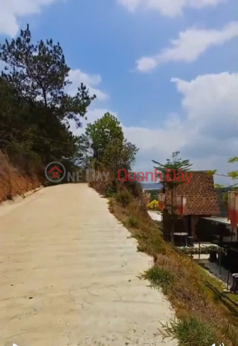 ĐẤT ĐẸP - GIÁ TỐT - Cần bán gấp ĐẤT TRỒNG CÂY LÂU NĂM TẠI TÀ NÙNG, TP. ĐÀ LẠT _0