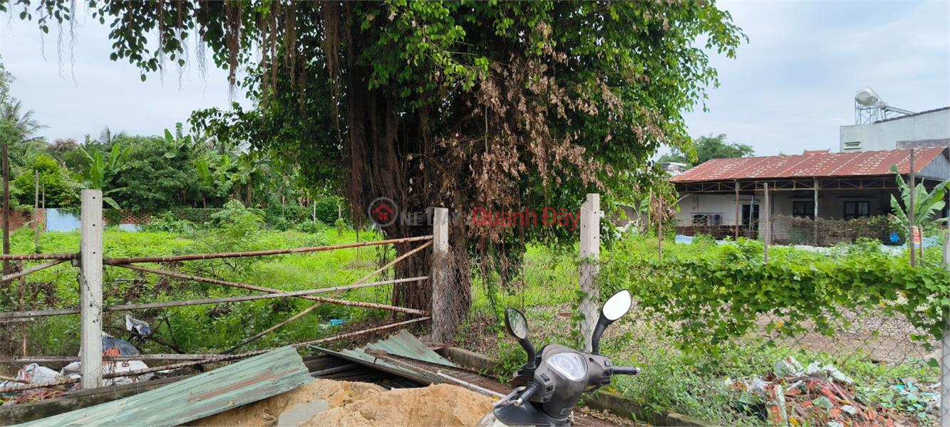 INSTANT SALE - CASH LAND At Ward 5 Vo Thi Sau, Ward 4, Tay Ninh City, Tay Ninh Sales Listings