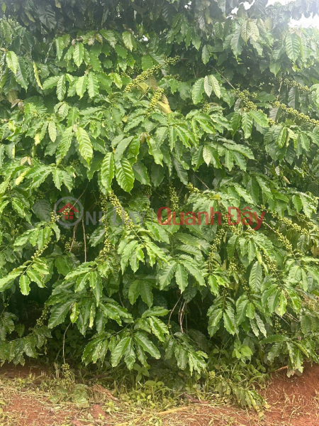 Làm ơn chọn, Nhà ở, Niêm yết bán, đ 5,8 tỷ