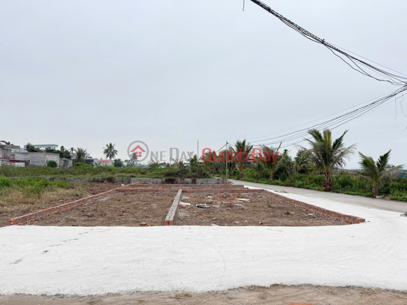 Siêu phẩm đất nền đường 10m tại Tân Thành, Dương Kinh, Hải Phòng. Việt Nam Bán | đ 1,55 tỷ
