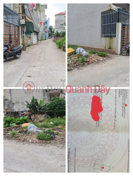 OWNER, folded land "COVER VILLAGE" Nhi village, Van Noi, Dong Anh Hanoi Sales Listings