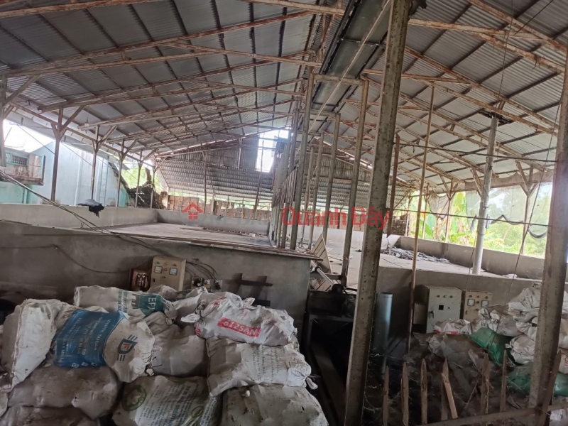 Property Search Vietnam | OneDay | Office / Commercial Property Rental Listings | NEED FOR RENTAL OR TRANSFER Large Capacity Rice Dryer 250 Tons\\/24h At Giong Rieng