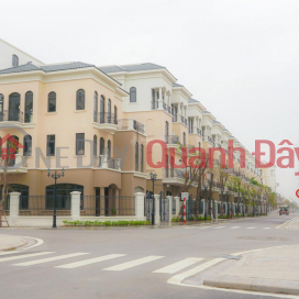 Cho thuê Biệt thự Liền kề Đảo Dừa. Diện tích 55m2 Vinhomes Ocean Park 2, 3 nội thất đẹp giá rẻ nhất. _0