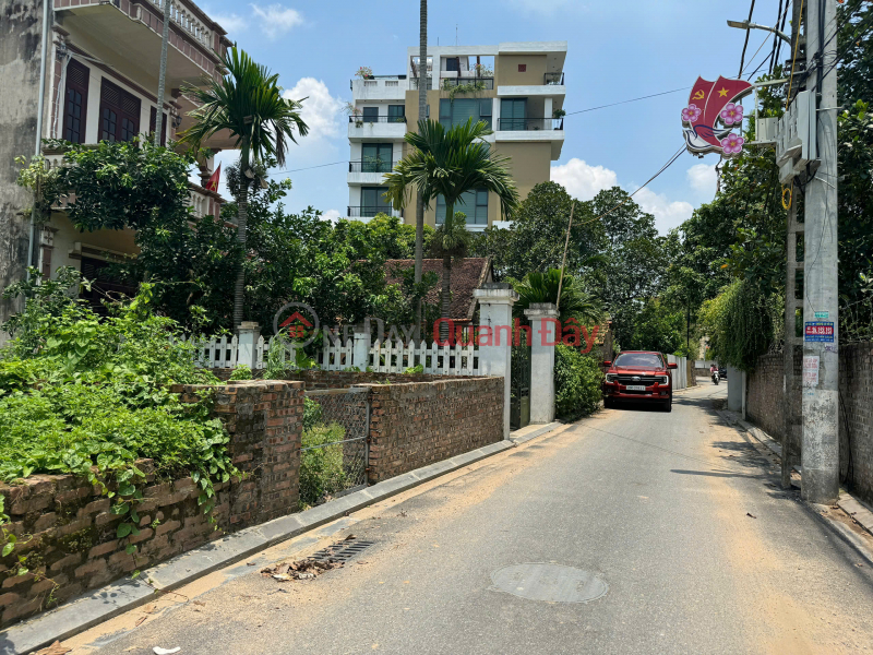 Property Search Vietnam | OneDay | Residential Sales Listings PHUC THINH LAND FOR SALE - SUPER BEAUTIFUL LOCATION <br \\/><br \\/> 162m² – Hamlet 2, Phuc Thinh (Old Van Noi)