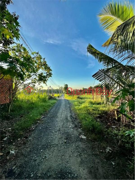 OWNER LUK Land Lot for Sale in Bau Nang Commune, Duong Minh Chau District, Tay Ninh Sales Listings