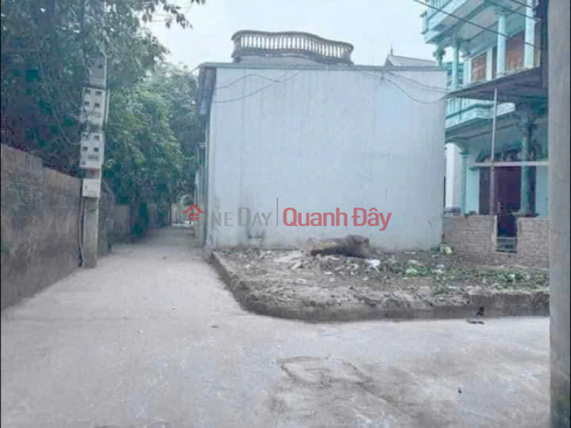 45.7m land in the center of Thuy Huong commune, Chuong My, car access Sales Listings