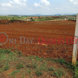 Bán 11140m2 đất N'Thôn Hạ Đức Trọng Lâm Đồng 11 tỷ _0