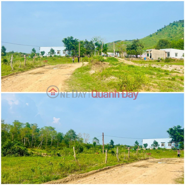 OWNERS FOR SALE LAND IN Song Bung Village, Ninh Tay Commune, Ninh Hoa Town, Khanh Hoa | Vietnam | Sales ₫ 199 Million