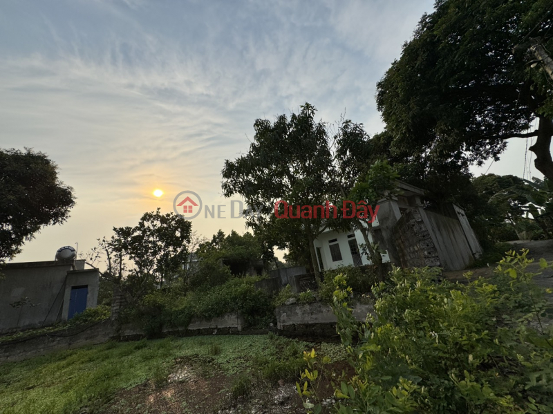 Property Search Vietnam | OneDay | Residential | Sales Listings, URGENT! OWNER Needs to Sell Full Residential Land, Beautiful Location in Tan Thanh Commune, Vu Ban District, Nam Dinh