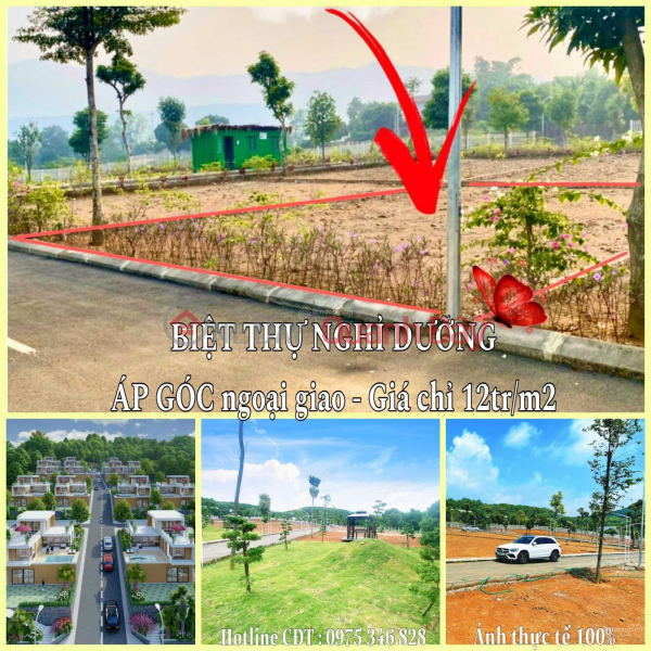 Property Search Vietnam | OneDay | Residential Sales Listings, Urgent sale of 160m² plot of land next to Dong Xuan primary school, 10m frontage, 16m square side to build a garden villa.