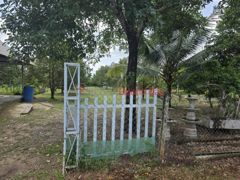 HOT HOT - OWNER SELLING GARDEN HOUSE WITH GARDEN, ADJACENT TO PROVINCIAL ROAD 751, Minh Thanh, Ho Chi Minh City Sales Listings