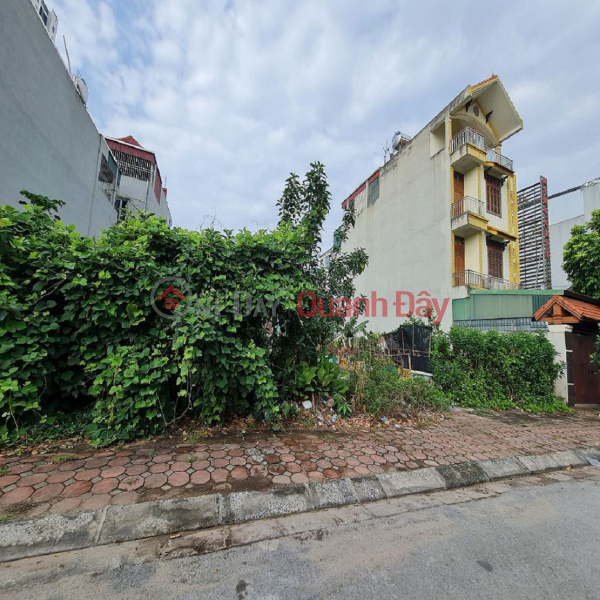 Land for sale on the main business street in Trau Quy, Gia Lam. 99m2, price 1x billion VND. Good investment opportunity. Contact 0989894845 Vietnam | Sales, đ 17.0 Billion