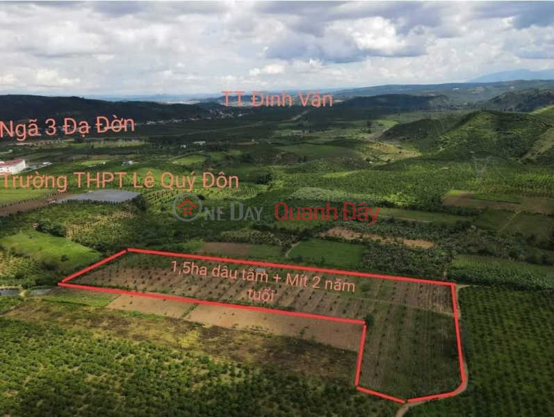 BEAUTIFUL LAND - GOOD PRICE - Own the Land Lot Prime Location In Da Don Commune, Lam Ha District, Lam Dong Sales Listings