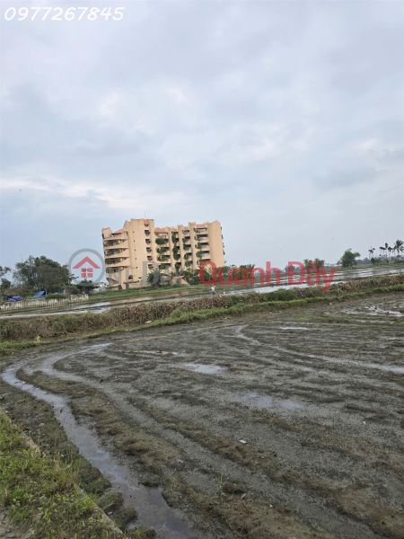 Owner selling two plots of land, 100m2 and 300m2, on Ly Thai To Street, the most beautiful street in Hoi An. | Vietnam Sales, đ 90 Million