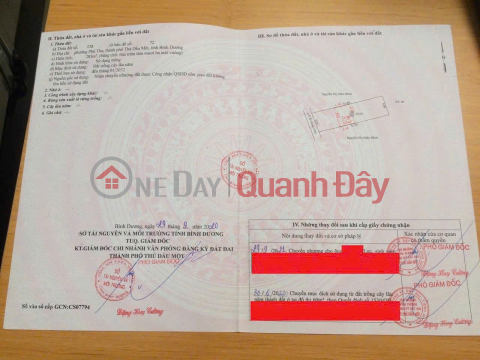 ĐẤT ĐẸP - GIÁ TỐT - CHÍNH CHỦ CẦN BÁN NHANH LÔ ĐẤT Phường Thủ Dầu Một, TP HCM _0