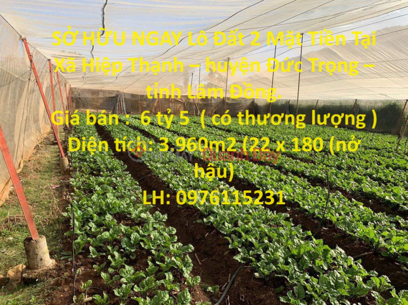 SỞ HỮU NGAY Lô Đất 2 Mặt Tiền Tại Xã Hiệp Thạnh – huyện Đức Trọng – tỉnh Lâm Đồng. Niêm yết bán