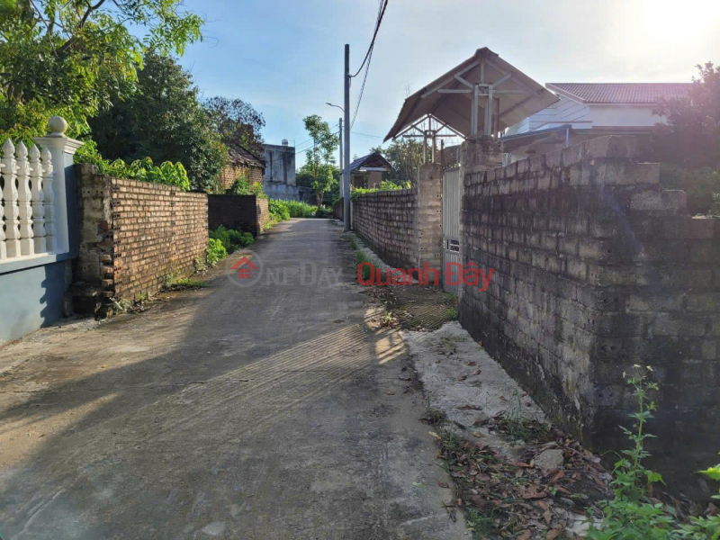 Property Search Vietnam | OneDay | Residential, Sales Listings, Owner Needs to Sell 2 Plots of Land 500m2 in Phuc Loc, Co Dong, Son Tay, Hanoi.